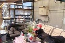Tokyo Guest House 2020 Exterior photo